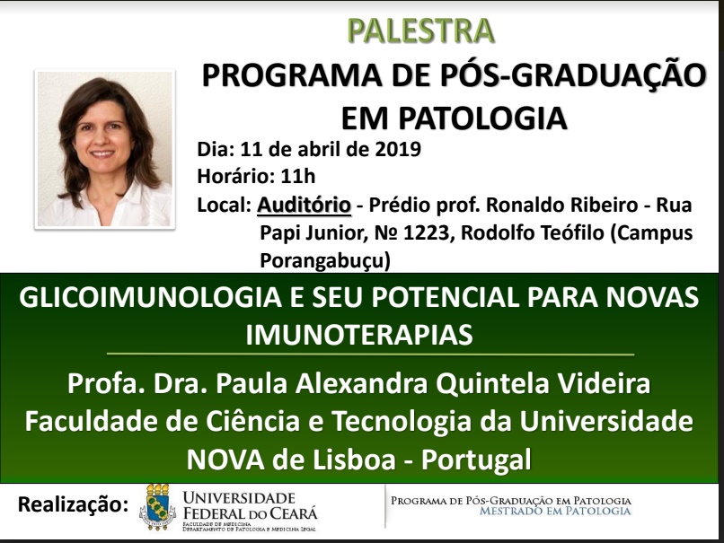 11 04 19 Palestra Internacional profa Paula Videira