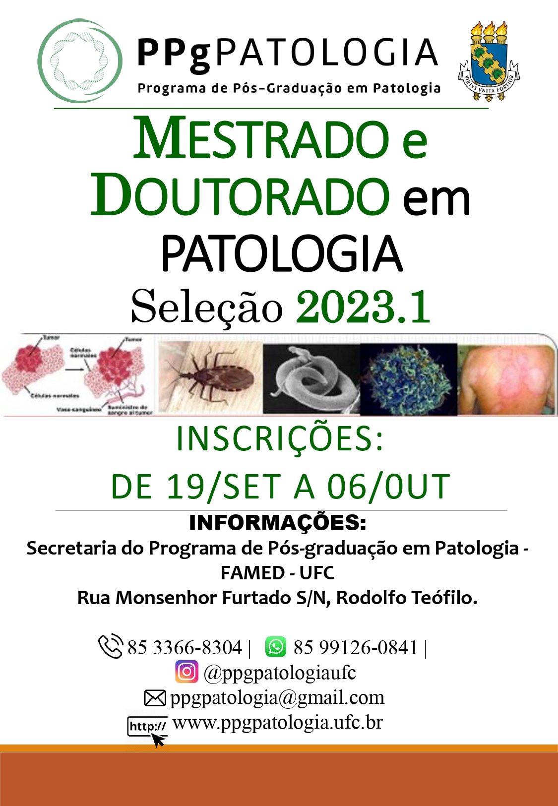 2023.1 Cartaz Seleção MESTRADO e DOUTORADO em PATOLOGIA page-00011