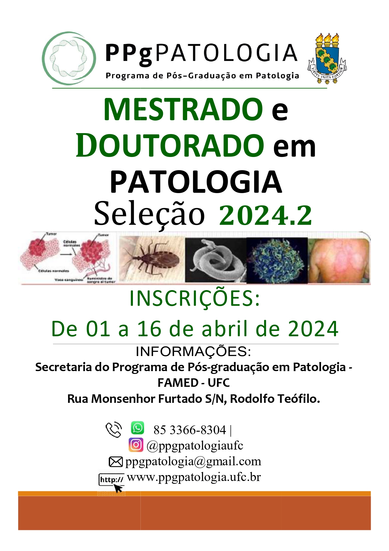 Banner seleção extra de doutorado 2024 2 page-0001